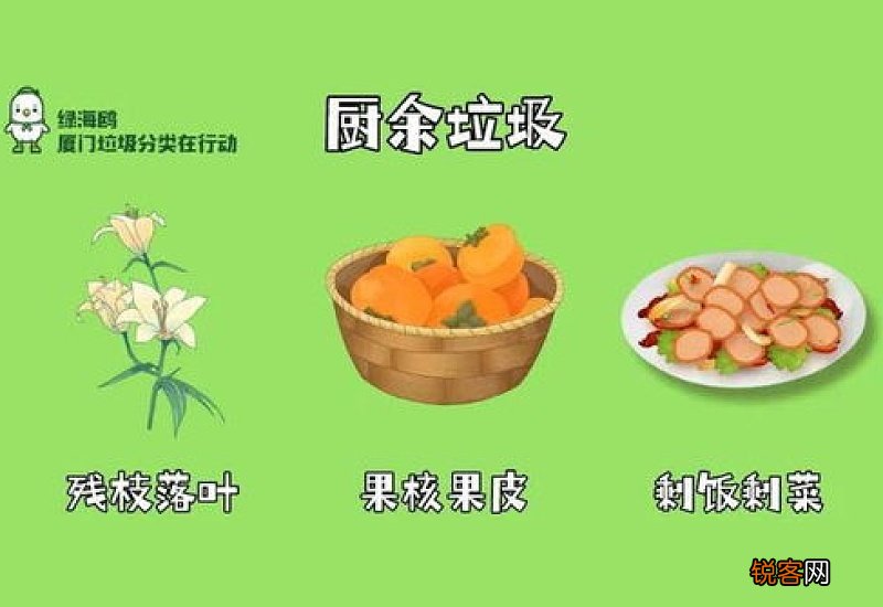 果皮属于什么垃圾分类