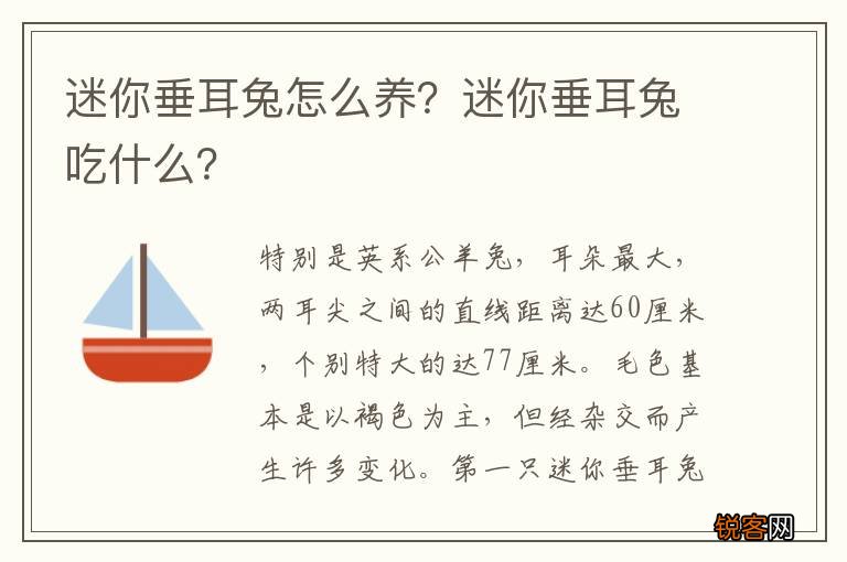迷你垂耳兔怎么养？迷你垂耳兔吃什么？