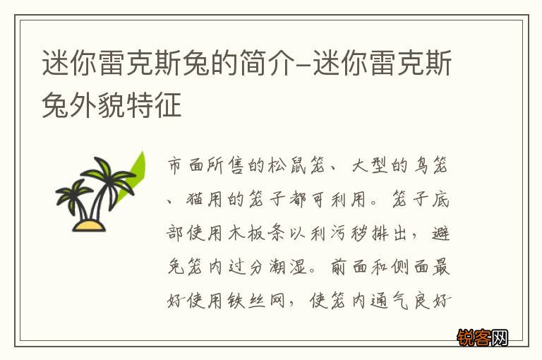 迷你雷克斯兔的简介-迷你雷克斯兔外貌特征