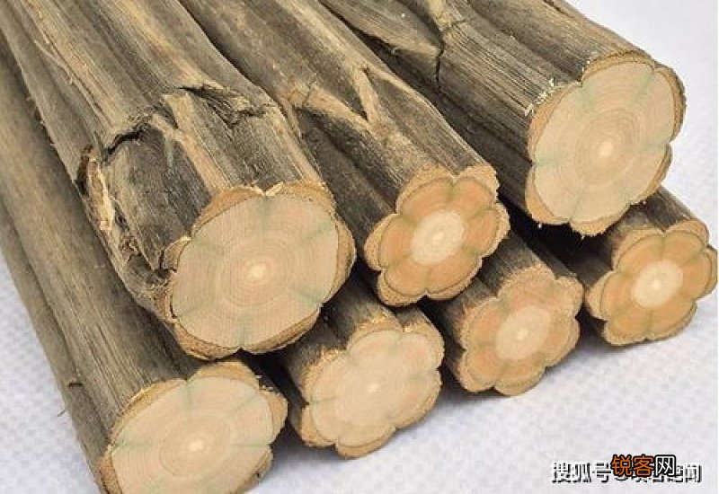 降龙木是什么木