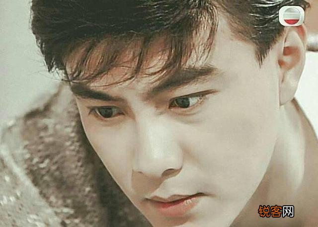 刘德华,张国荣,郑伊健,张卫健,古天乐哪个最帅？