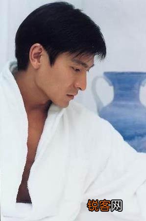 刘德华,张国荣,郑伊健,张卫健,古天乐哪个最帅？