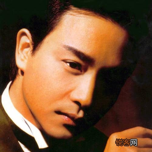 刘德华,张国荣,郑伊健,张卫健,古天乐哪个最帅？