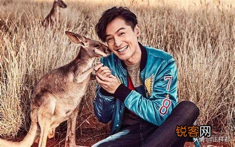 男人眼中最帅的男星是谁？