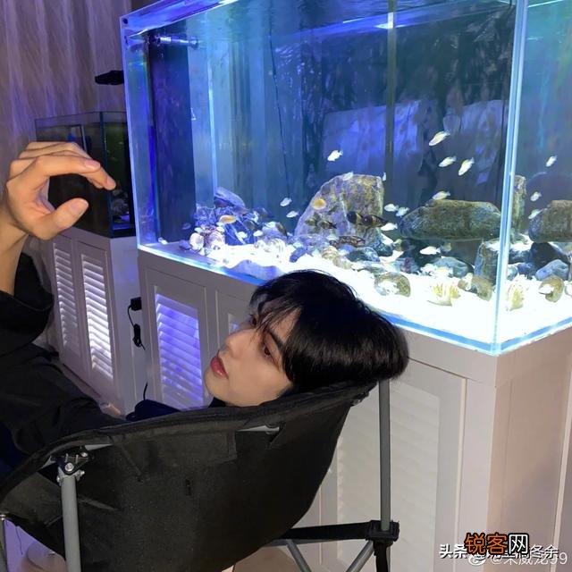 你心中最帅的男演员是谁？为什么？