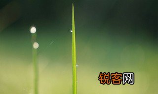 成长中历经磨难的名言 成长中历经磨难的名言有哪些