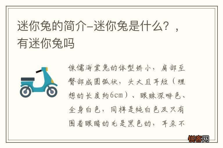 迷你兔的简介-迷你兔是什么？，有迷你兔吗