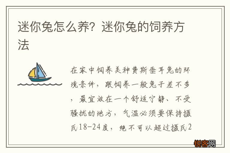 迷你兔怎么养？迷你兔的饲养方法