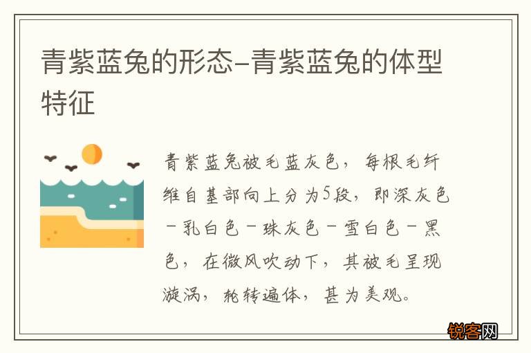 青紫蓝兔的形态-青紫蓝兔的体型特征