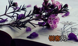 卜算子咏梅的诗意是什么 卜算子咏梅的诗意介绍