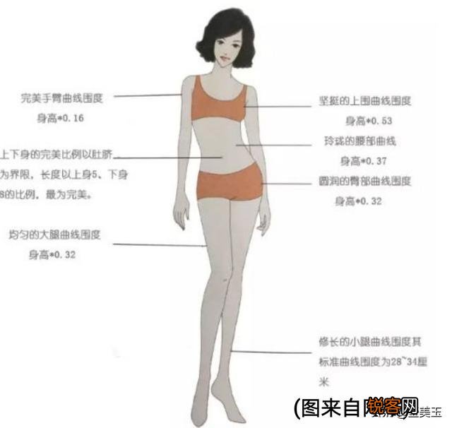 你觉得女人最完美的身材应该是什么样子的？