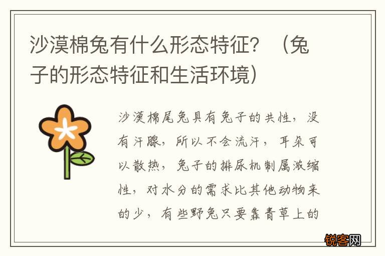 兔子的形态特征和生活环境 沙漠棉兔有什么形态特征？