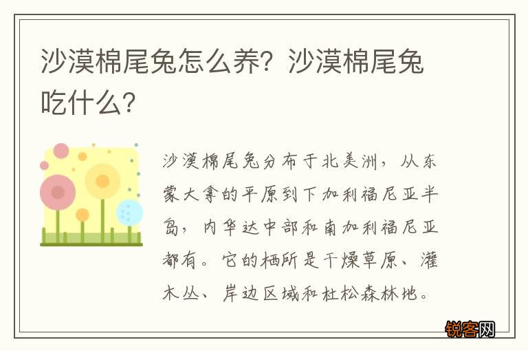 沙漠棉尾兔怎么养？沙漠棉尾兔吃什么？