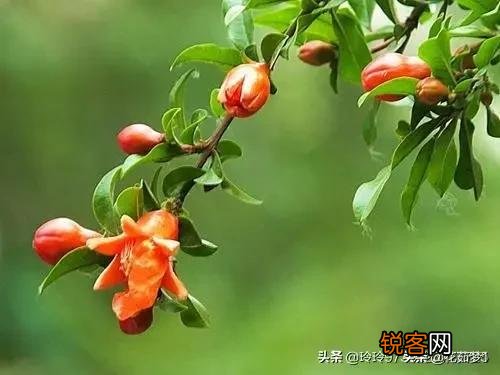 男人介意女人胸小吗？