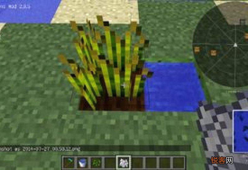 我的世界怎么种小麦