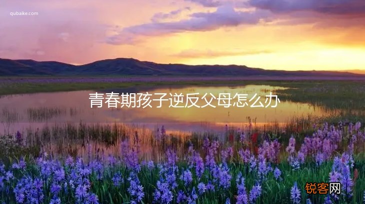 青春期孩子逆反父母怎么办