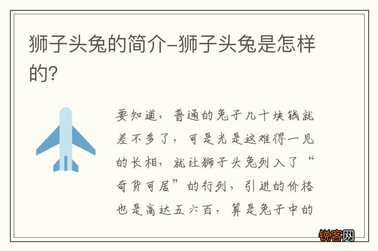 狮子头兔的简介-狮子头兔是怎样的？