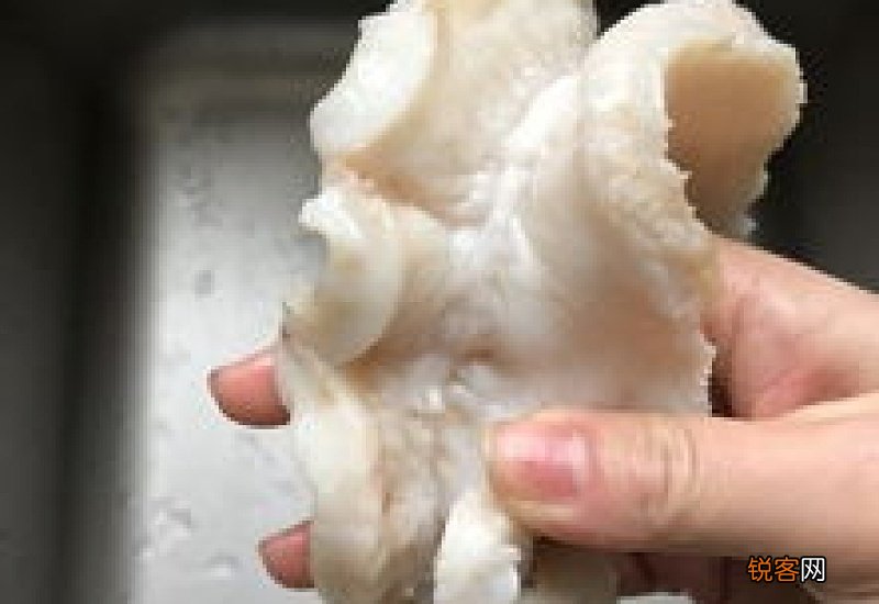 怎样泡发鱼胶最好