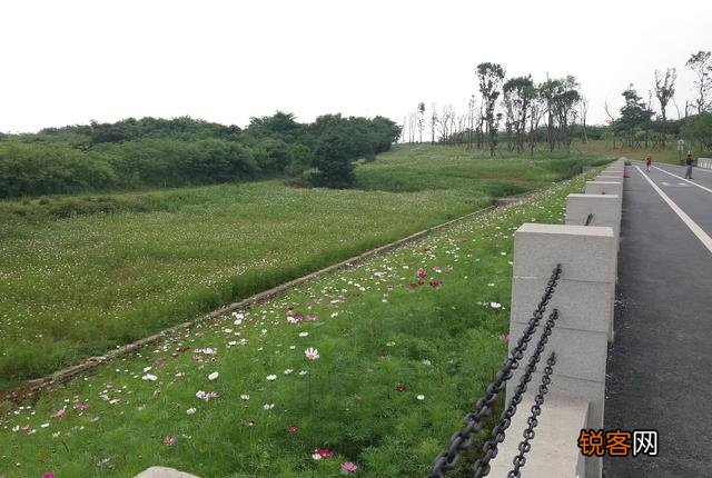 成都最大的公园是什么？