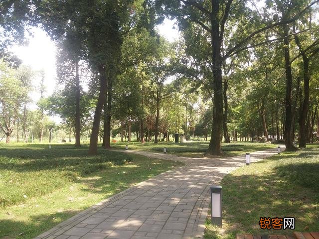 成都最大的公园是什么？