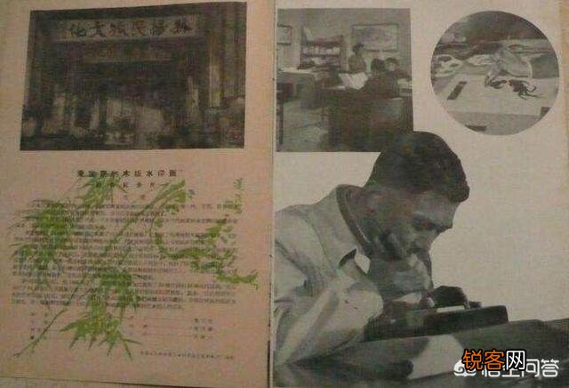 如何鉴别绘画作品是手绘还是高仿印刷品？
