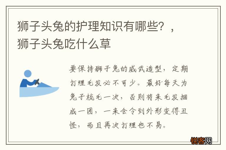 狮子头兔的护理知识有哪些？，狮子头兔吃什么草