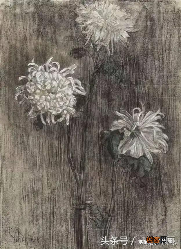 为什么说了解绘画艺术作品的精髓,可以增加欣赏其他艺术的乐趣？