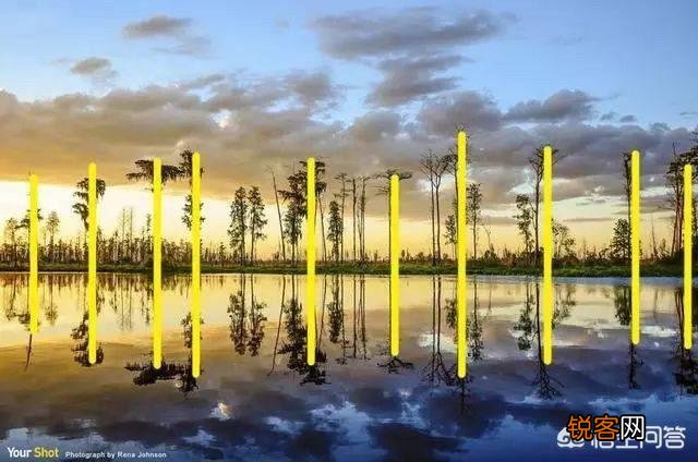 有人说,学绘画得一笔一画的,进步慢,不如学摄影,立竿见影、能够“速成”。你怎么看？