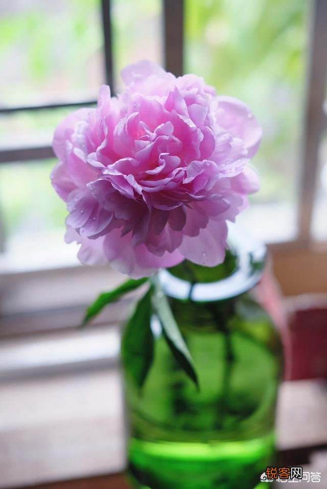 有人说,学绘画得一笔一画的,进步慢,不如学摄影,立竿见影、能够“速成”。你怎么看？