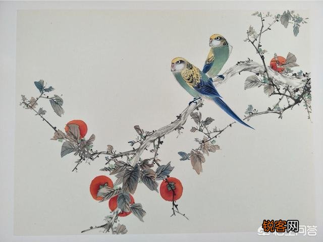 为什么说绘画是一种思维和观察方式的训练：可以提高学生的观察体验、联想想象的能力？