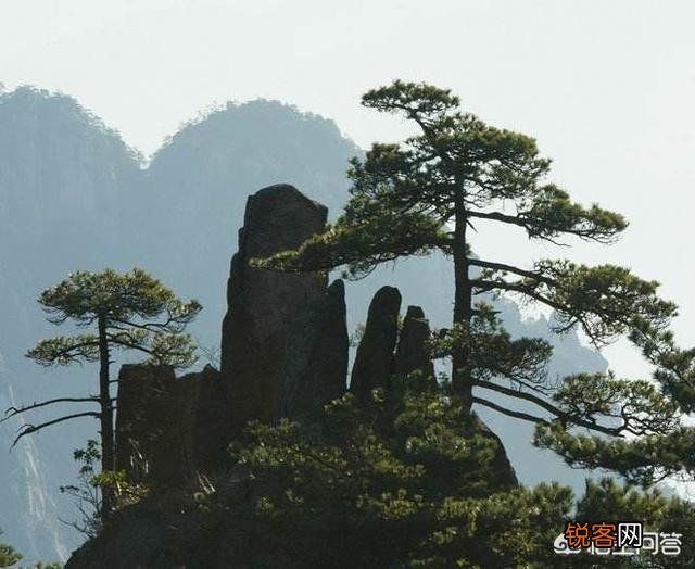 为什么说绘画是一种思维和观察方式的训练：可以提高学生的观察体验、联想想象的能力？