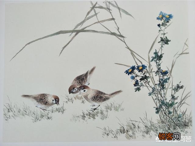 为什么说绘画是一种思维和观察方式的训练：可以提高学生的观察体验、联想想象的能力？