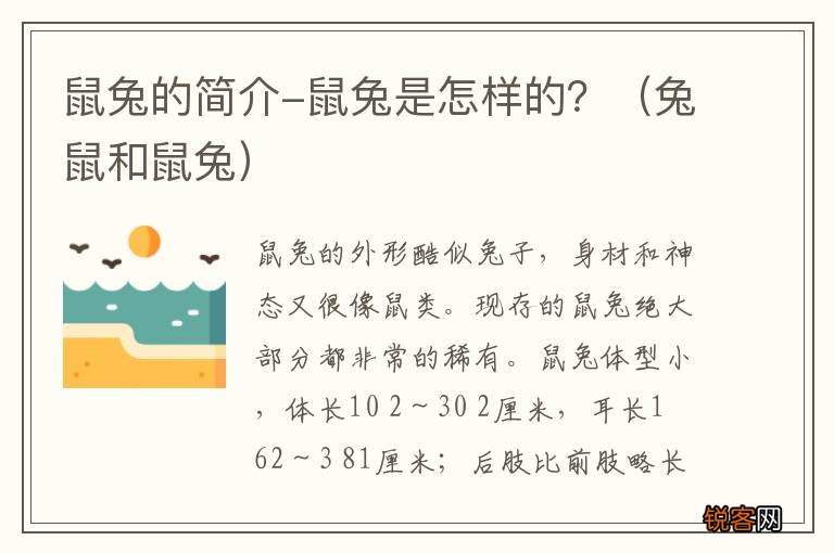 兔鼠和鼠兔 鼠兔的简介-鼠兔是怎样的？