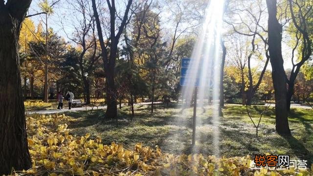 有人说绘画和摄影都需要讲究“光影”——“光影”是什么呢？怎样用好光影？