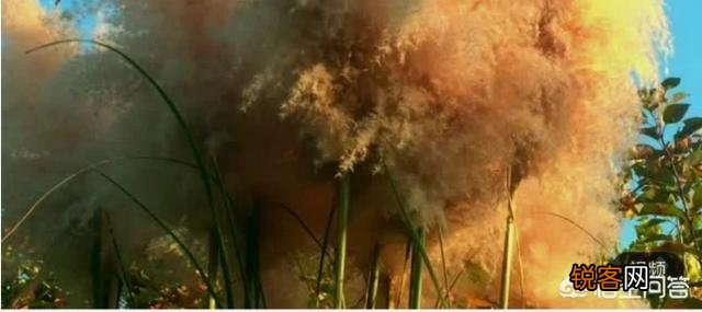 有人说绘画和摄影都需要讲究“光影”——“光影”是什么呢？怎样用好光影？