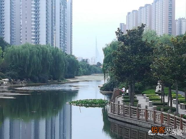 如果楼房有1到18层,你会选择哪一层居住？为什么？