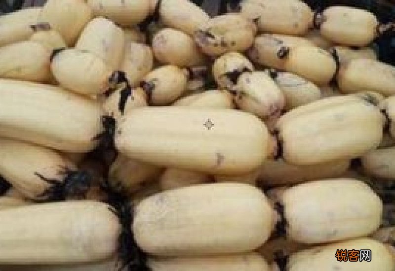 藕变黑是怎么回事