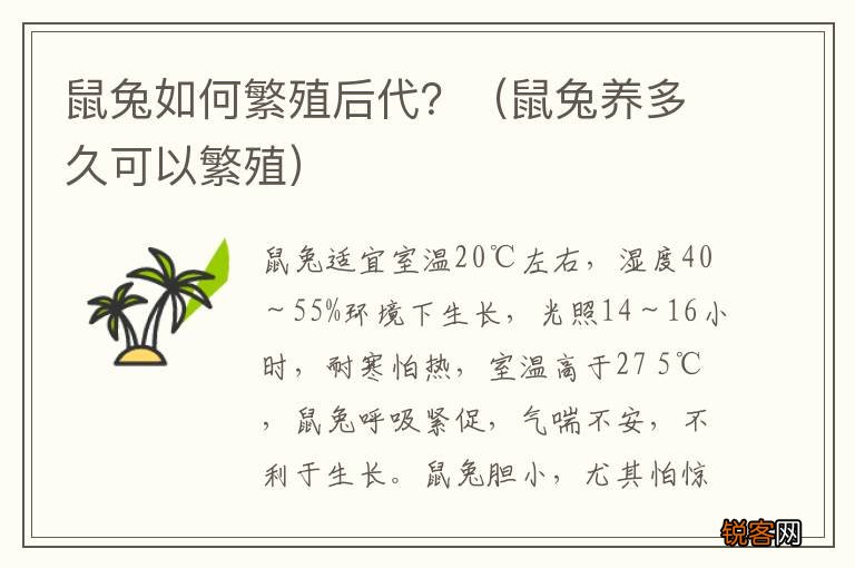 鼠兔养多久可以繁殖 鼠兔如何繁殖后代？
