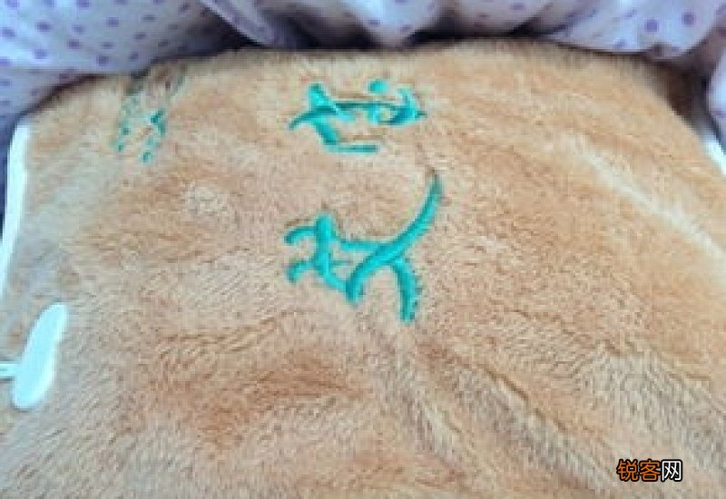 艾草热敷小肚子的功效 艾草热敷小肚子能减肥吗