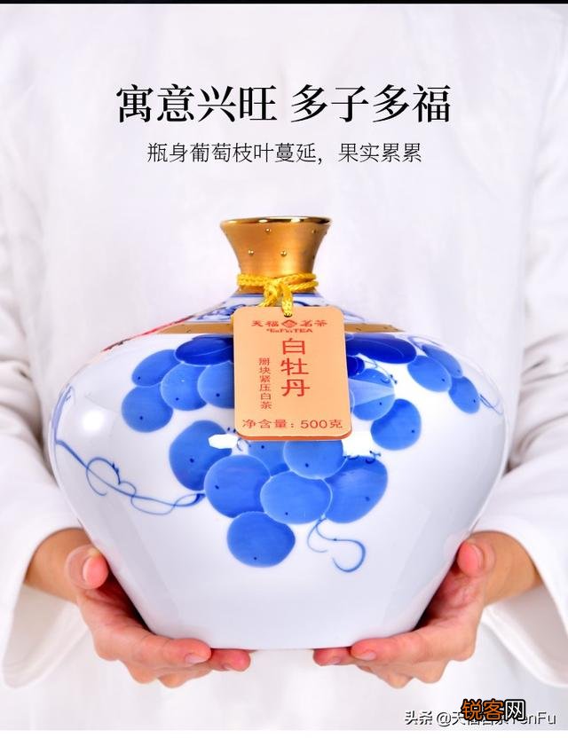 白茶有哪些香气？