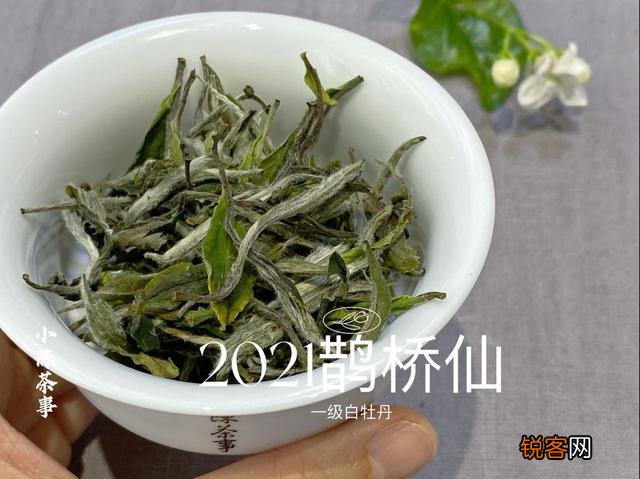 白茶有哪些香气？