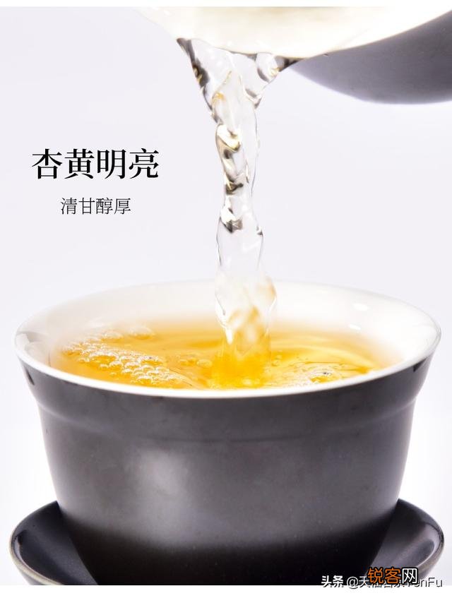 白茶有哪些香气？