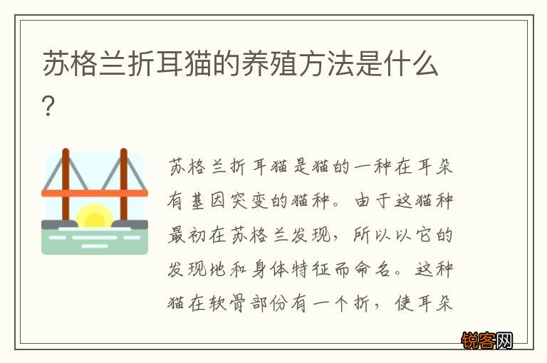 苏格兰折耳猫的养殖方法是什么？