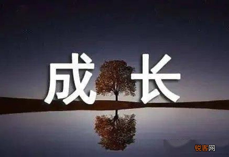 高二成长感悟作文