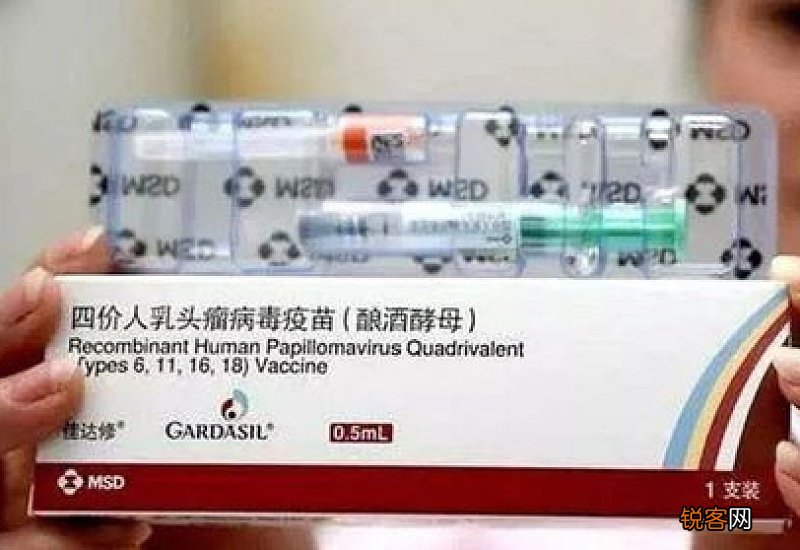 谷城县四价疫苗什么时候放号的 谷城县四价疫苗什么时候放号