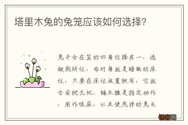 塔里木兔的兔笼应该如何选择？