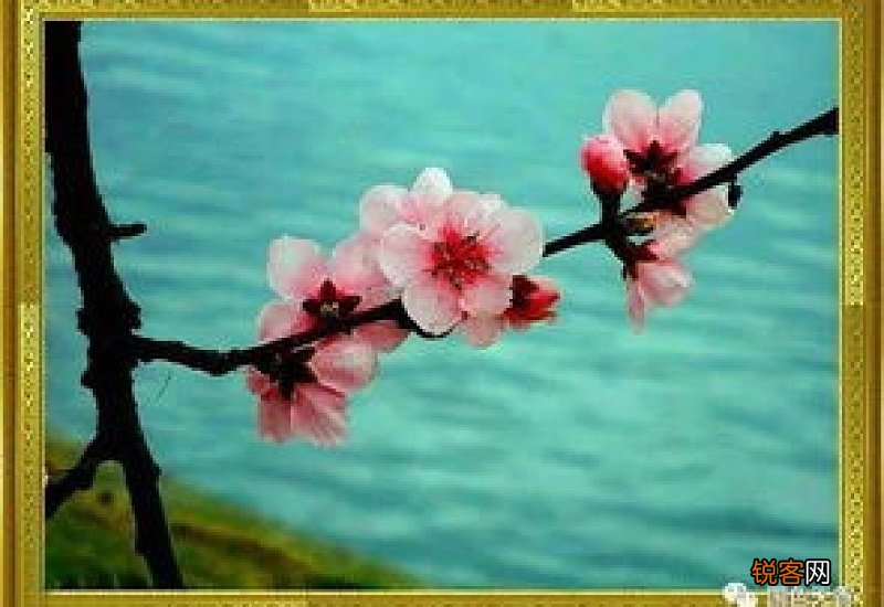 比金子还贵啊三月桃花水比银子还亮啊三月桃花水