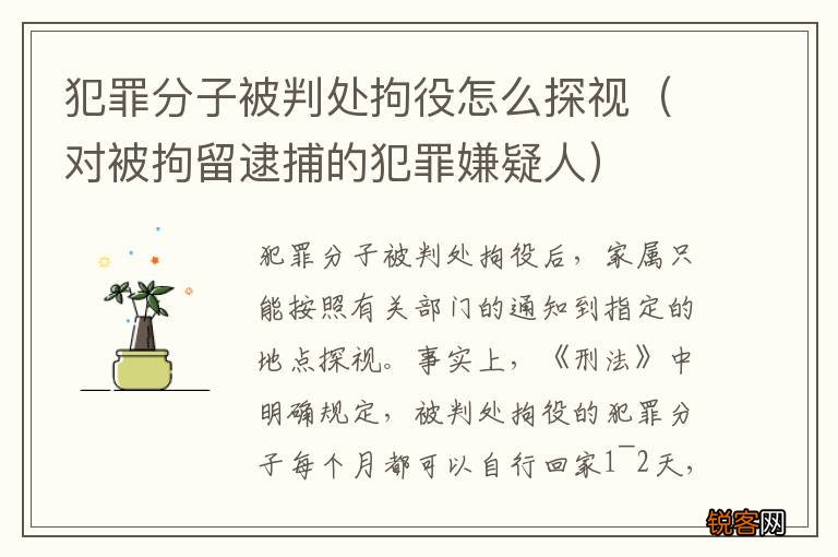 对被拘留逮捕的犯罪嫌疑人 犯罪分子被判处拘役怎么探视