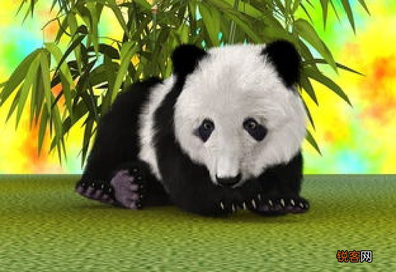 为什么熊猫是国宝呢