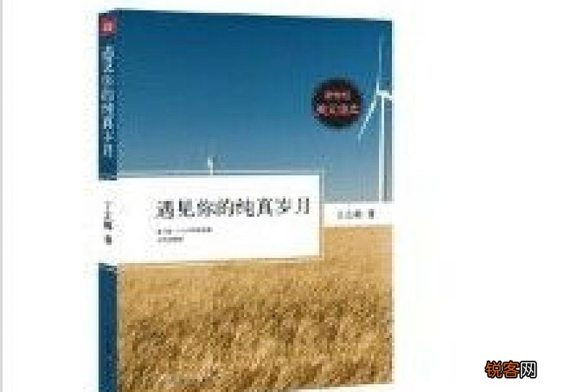 遇见你的纯真岁月作文 遇见你的纯真岁月